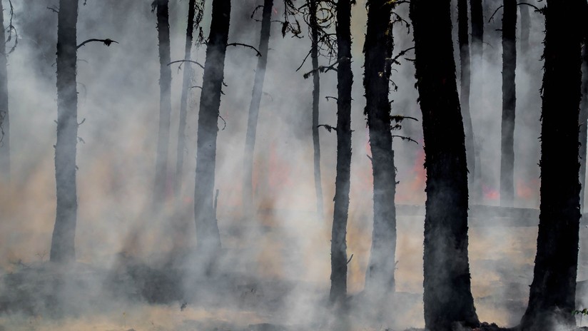 Descubren una técnica de los indígenas de Norteamérica de hace 2.000 años que cambió el ecosistema más que las causas climáticas