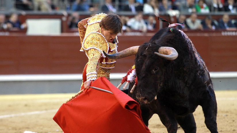 VIDEO: El escalofriante momento en que un torero francés recibe una cornada en el recto