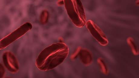 VIDEO: Captan cómo el sistema inmunológico mata bacterias en la sangre con agujeros 10.000 veces más delgados que el cabello humano