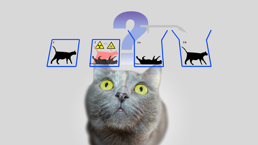 Eles conseguem prever o salto quântico e "salvar" o gato de Schrödinger