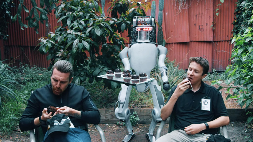 VIDEO: Esto es lo que pasa si maltratas a un 'robot humanoide' y se harta