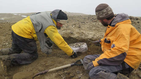 Paleontólogos argentinos en la isla de Marambio, en el extremo norte de la península Antártica