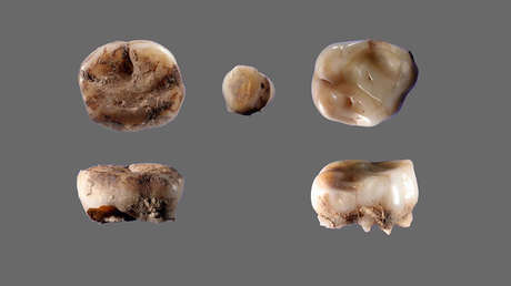 Dos dientes de leche de hace 31.000 años revelan la existencia de una antigua población humana hasta ahora desconocida
