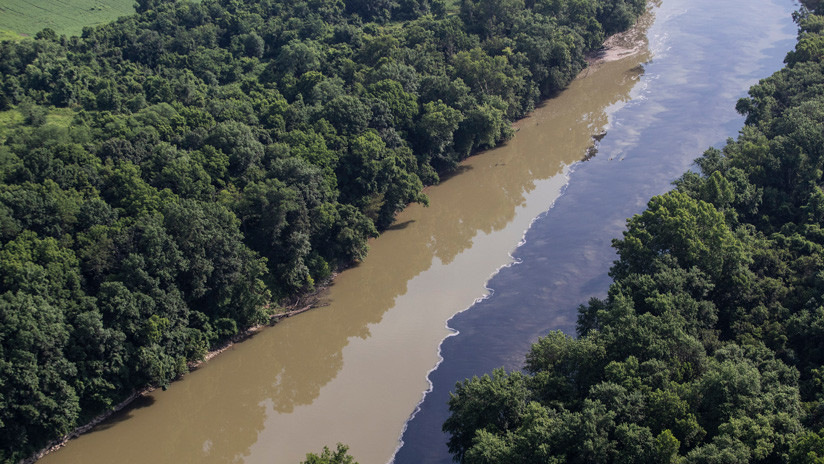 VIDEO: Mueren ahogados en whisky miles de peces en aguas del río Kentucky