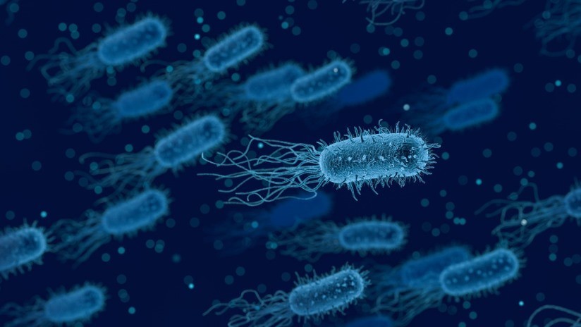 Una bacteria carnívora llega hasta el hueso y casi deja a una mujer sin un pie
