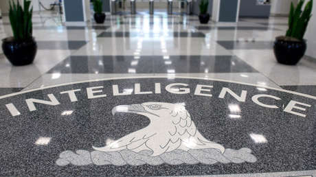 La operación 'Acoustic Kitty' o cómo la CIA intentó espiar con gatos a la URSS