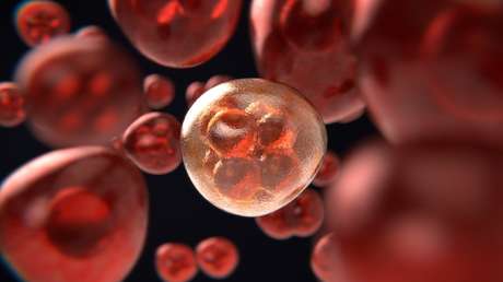 Inventan en una universidad rusa un nuevo método de detección del cáncer sin perjuicio para la salud del paciente