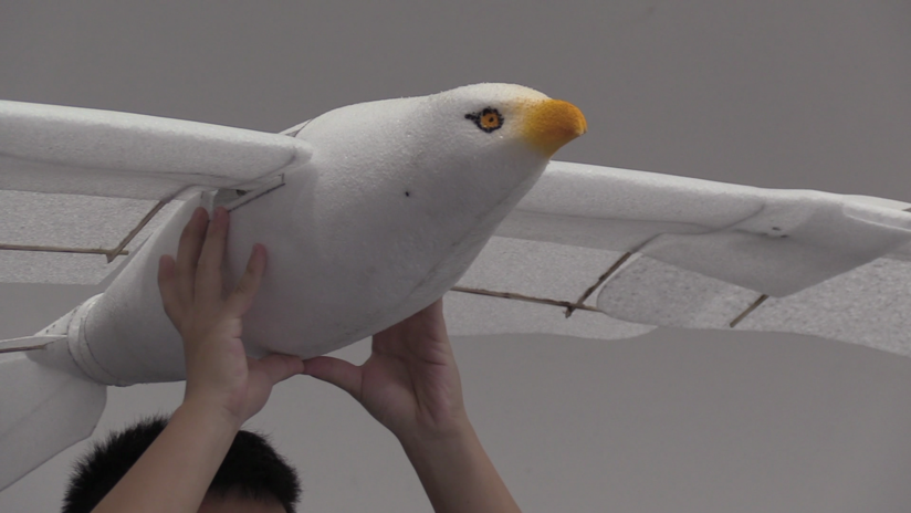 VIDEO: Presentan en China un dron en forma de gaviota