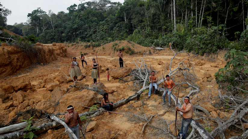 Incendios en la Amazonia: "Los invasores de tierras usan el fuego para dar cabida a negocios ilícitos"