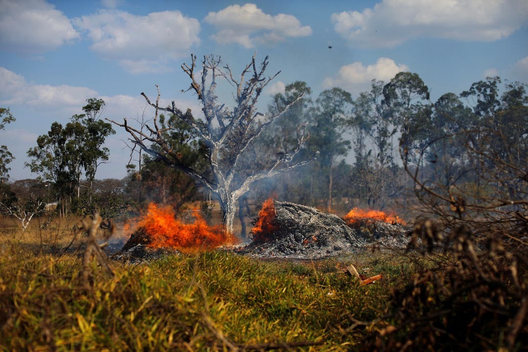 Las Imágenes Más Perturbadoras De Los Incendios En La Amazonia 