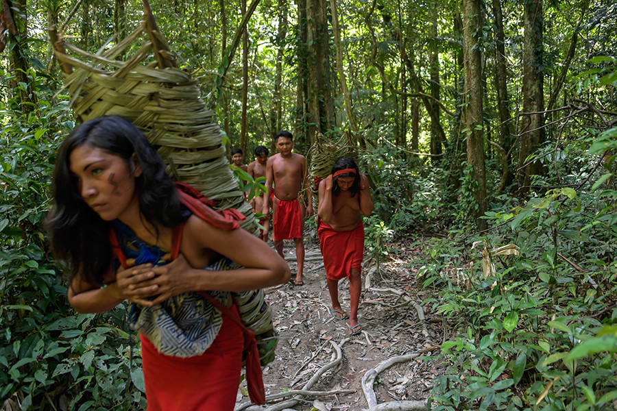 Los incendios de la Amazonia son "potencialmente genocidas" para sus tribus indígenas