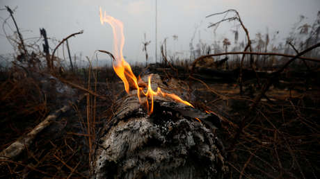 Un tramo de la selva amazónica después de un incendio en Boca do Acre, estado de Amazonas, Brasil. 24 de agosto de 2019.