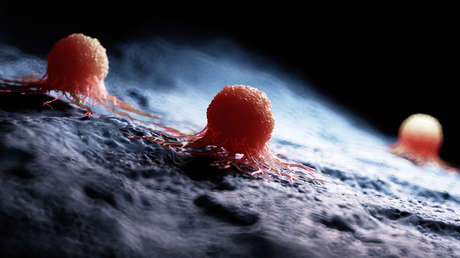 Imagen ilustrativa