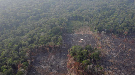 Vista área de la deforestación de la Amazonia. Humaita, estado de Amazonas, Brasil. 22 de agosto de 2019.