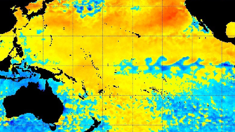 Una mancha de calor 'asesina' resurge en el Pacífico y mantiene en vilo a los científicos