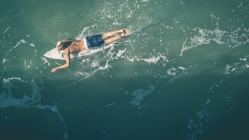 VIDEO: Surfista evita un encuentro con un tiburón gracias a la alerta de un dron