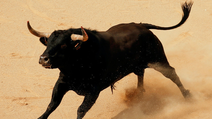 VIDEO: Un toro herido cornea reiteradamente a un joven durante una fiesta taurina en Colombia