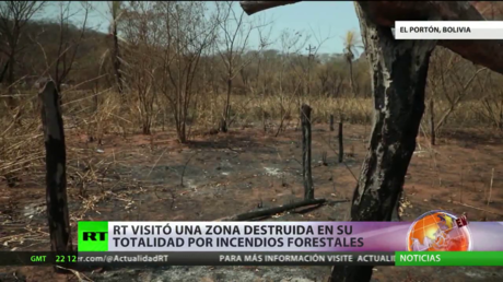 RT visita una zona destruida en su totalidad por los incendios forestales en la Amazonía