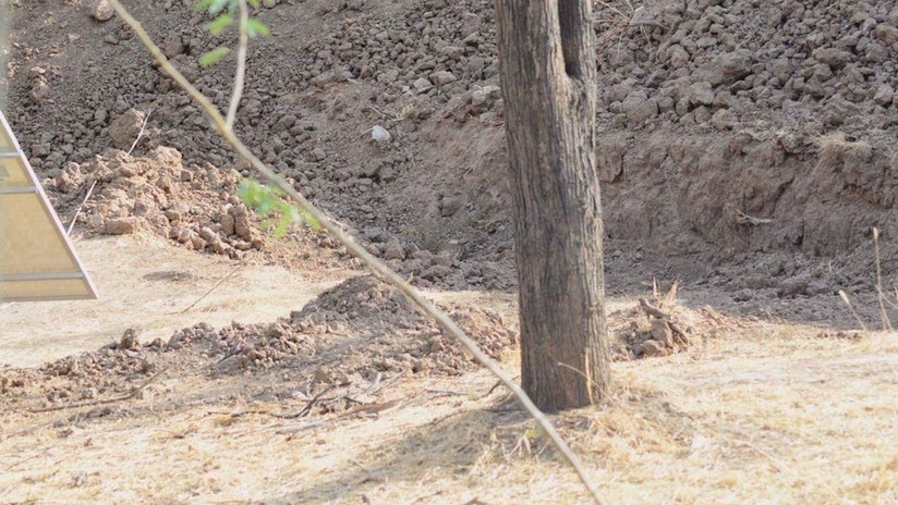 ¿Podrá encontrarlo? La imagen de un leopardo, 'genio del camuflaje', que está "enloqueciendo" a los internautas