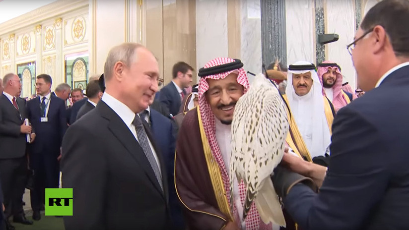 VIDEO: Putin regala un halcón gerifalte al rey de Arabia Saudita en su visita al país