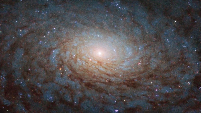 Publican imagen de una galaxia con enorme concentración de estrellas