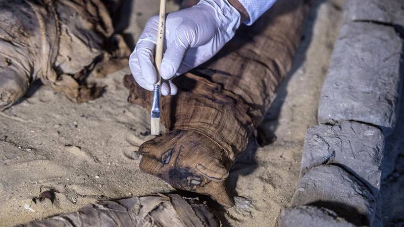CientÃ­ficos 'abren' una antigua momia de gato egipcia y se llevan una gran sorpresa al ver su contenido