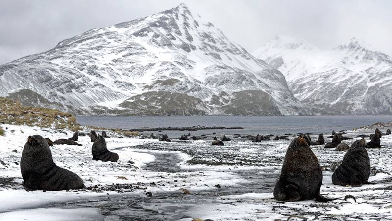 Científicos advierten que el hielo antártico podría desencadenar una nueva era de hielo