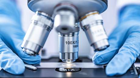 Descubren un virus cuyas características desafían la noción científica