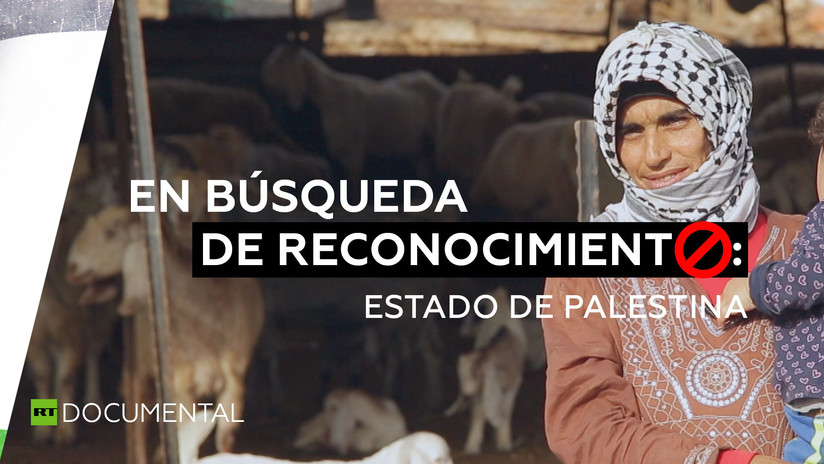 En búsqueda de reconocimiento: Estado de Palestina - RT en Español