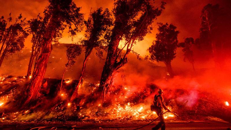 Más de 11.000 científicos advierten sobre el "incalculable sufrimiento" que podríamos enfrentar por el cambio climático