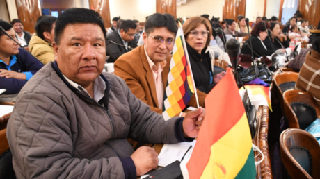 Líder de la bancada del partido de Morales es elegido presidente de la Cámara de Diputados de Bolivia