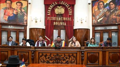 La Asamblea Legislativa Plurinacional da el visto bueno por unanimidad al proyecto de ley para nuevas elecciones generales en Bolivia