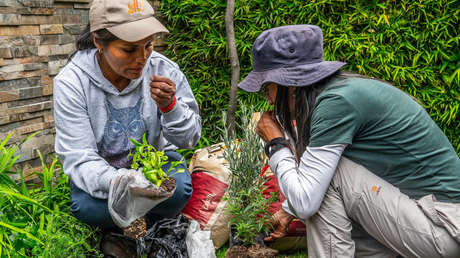 La escuela itinerante de agroecología que levanta huertos por doquier y satisface el comer sano
