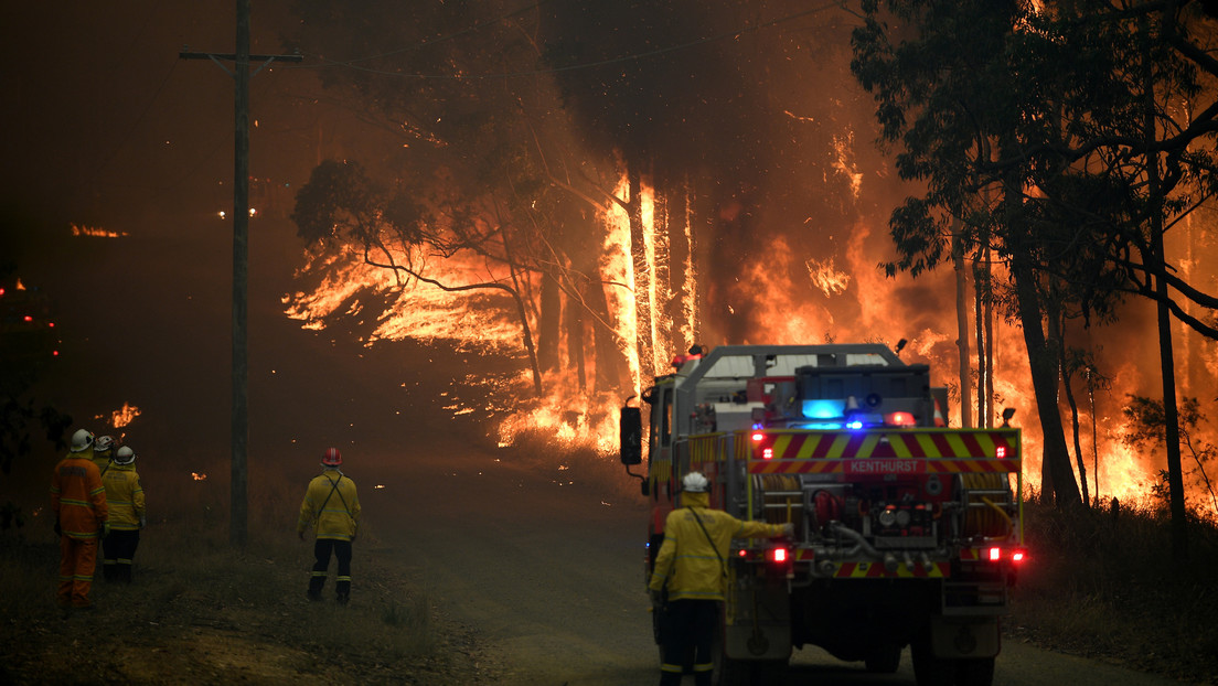 Devastadores incendios en Australia exterminaron el 20% del área natural de las Montañas Azules