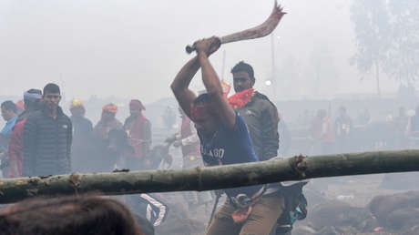 Comienza en Nepal el mayor sacrificio de animales del mundo que planea decapitar a 6.500 búfalos en dos días