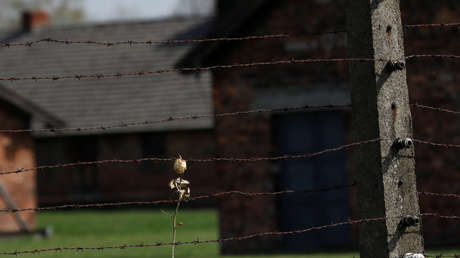 Amantes en Auschwitz se reencuentran 72 años después y él tenía una sola pregunta