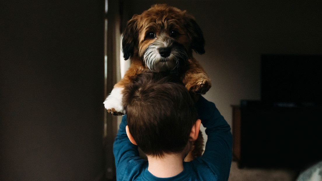 FOTO: Un niño es castigado y su perro le demuestra que los amigos están en las buenas y en las malas