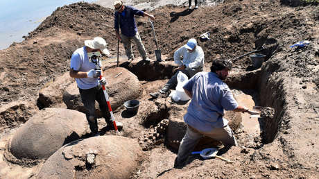 Un granjero argentino se topa por accidente con aparentes rocas gigantes, pero resultan ser animales que vivieron hace más de 10.000 años