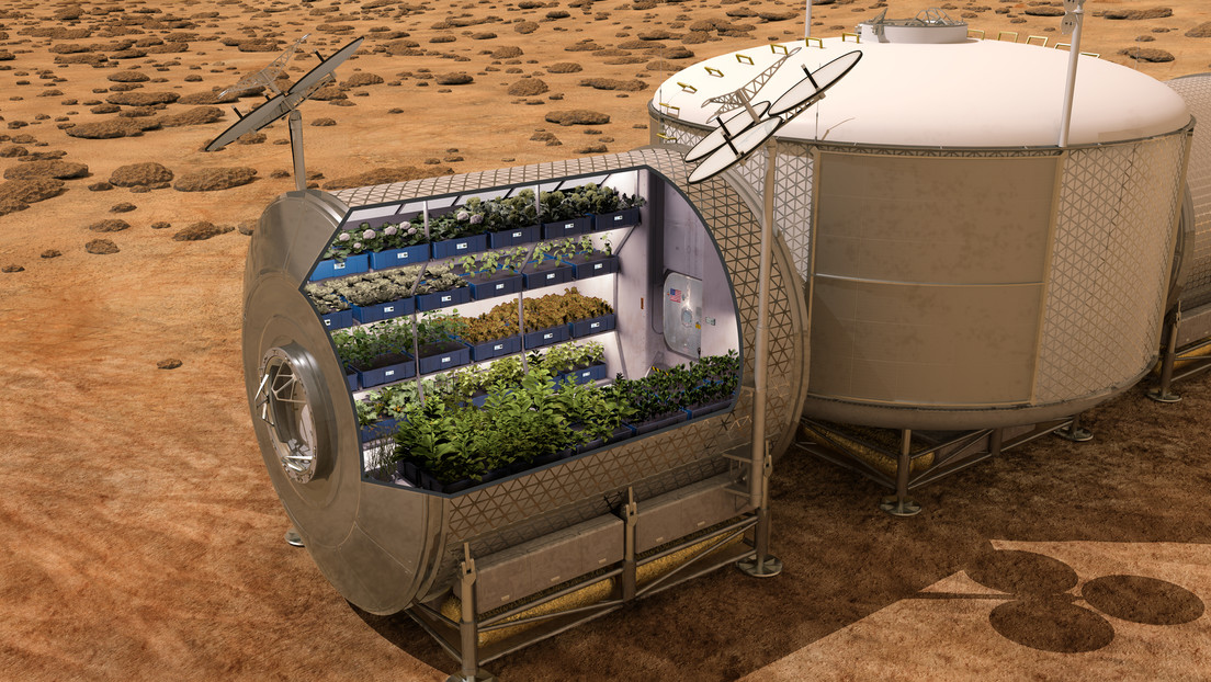 Salad in the orbit is just as healthy as on the land (and more)