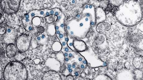 Científicos chinos detectan cambios en los síntomas clínicos del coronavirus