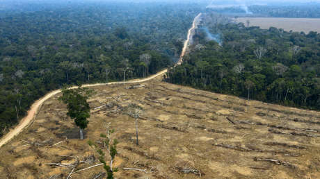La deforestación en la Amazonía empieza el año con tasas récord y podría alcanzar peores niveles que en 2019