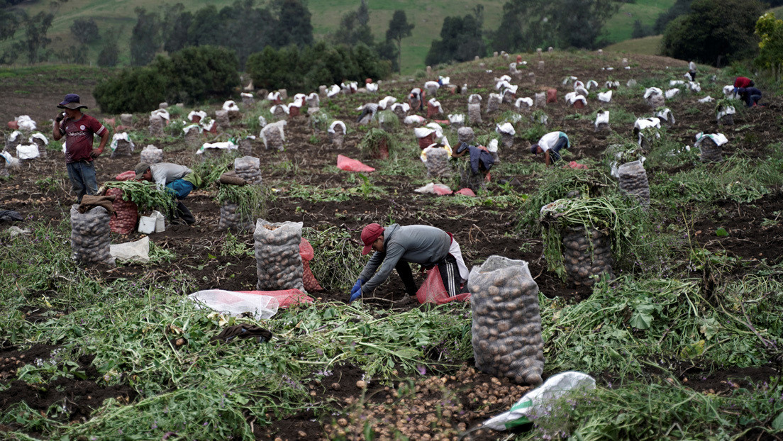 Desempleo récord y rebajas salariales: los estragos del coronavirus en el mercado laboral