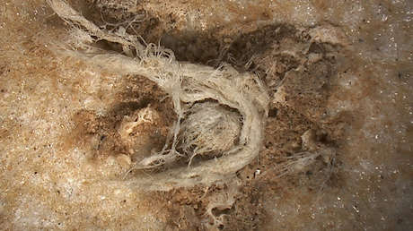 El hallazgo de una cuerda de 50.000 años de antigüedad indica que se subestimó la inteligencia de los neandertales (FOTOS)
