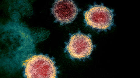Científicos descubren que el nuevo coronavirus puede sobrevivir incluso a más de 60 grados