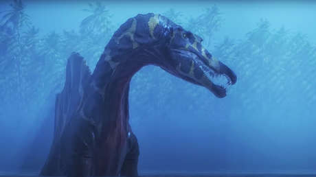 Científicos encuentran la primera evidencia de un dinosaurio acuático (VIDEO)