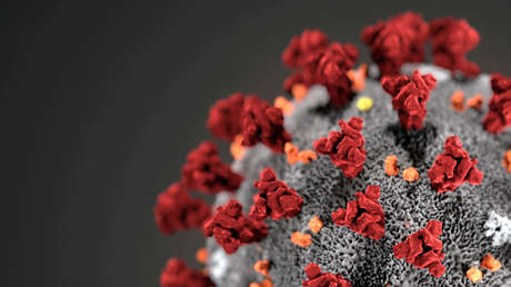 Video en 3D muestra en detalle la estructura del SARS-CoV-2