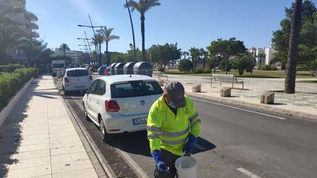 Ibiza enfrenta una plaga de mosquitos cuatro veces superior a lo habitual