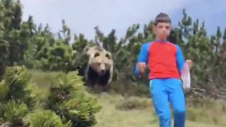 VÍDEO: Um garoto mostra o que fazer quando um urso o persegue em um vale na Itália