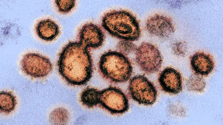 La especial adaptabilidad del SARS-CoV-2 al organismo humano sorprende a científicos