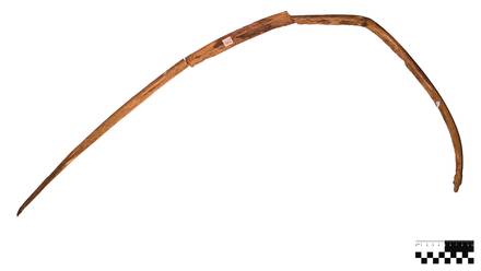 Arco de abedul.